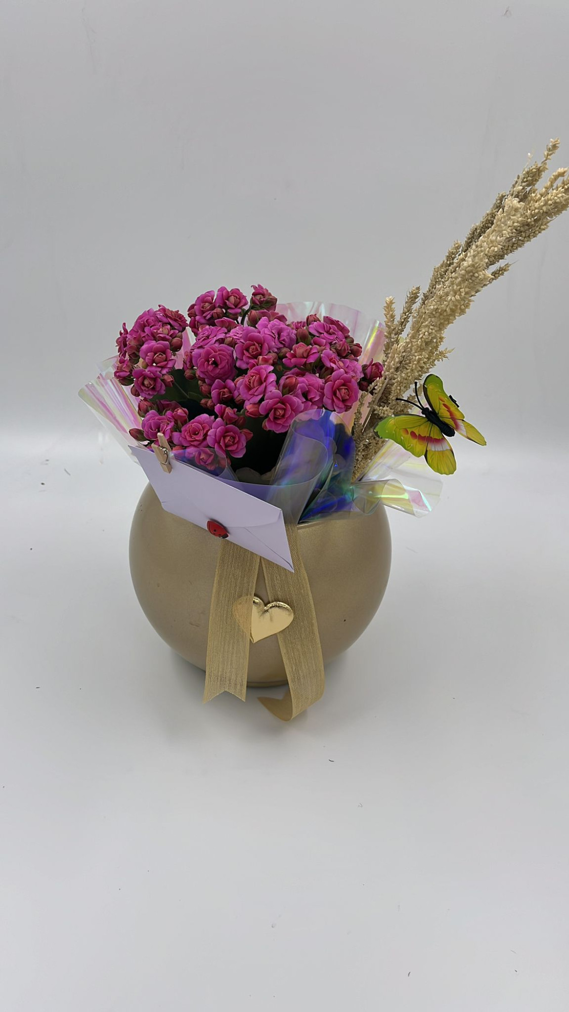 Fanusta Fuşya kalanşo