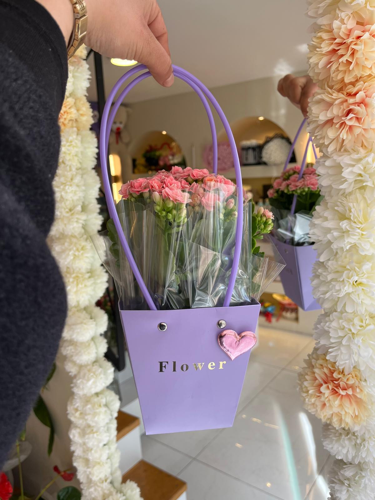 Mor Çantada Kalanşo