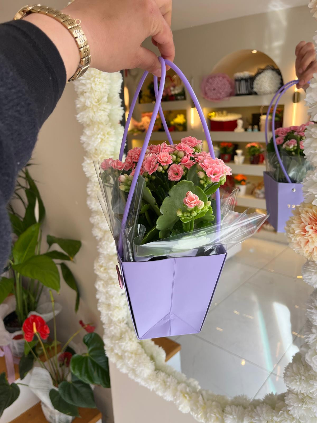 Mor Çantada Kalanşo küçük resim 2