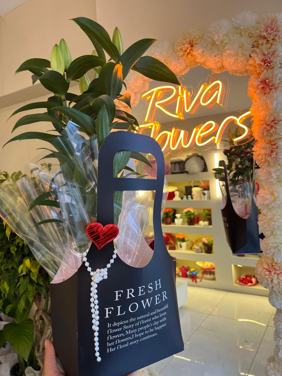 Siyah Çanta Detaylı Saksı Lilyum küçük resim 2