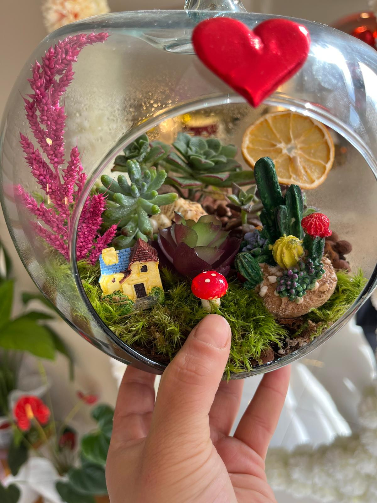 sukulent Cam Fanus Teraryum küçük resim 2