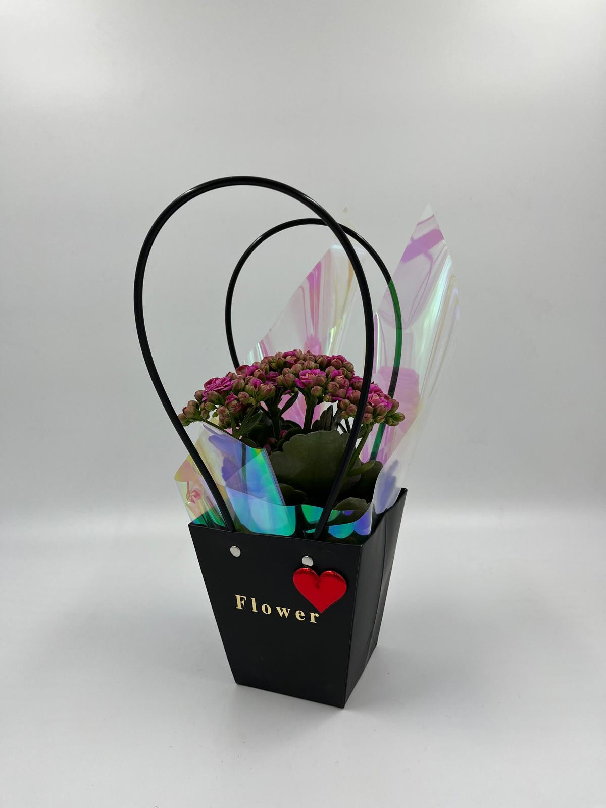 Çantada Mor Kalanşo