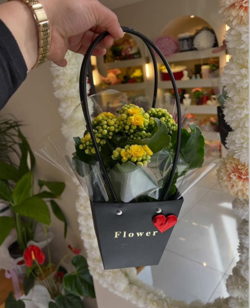 Çantada Sarı Kalanşo