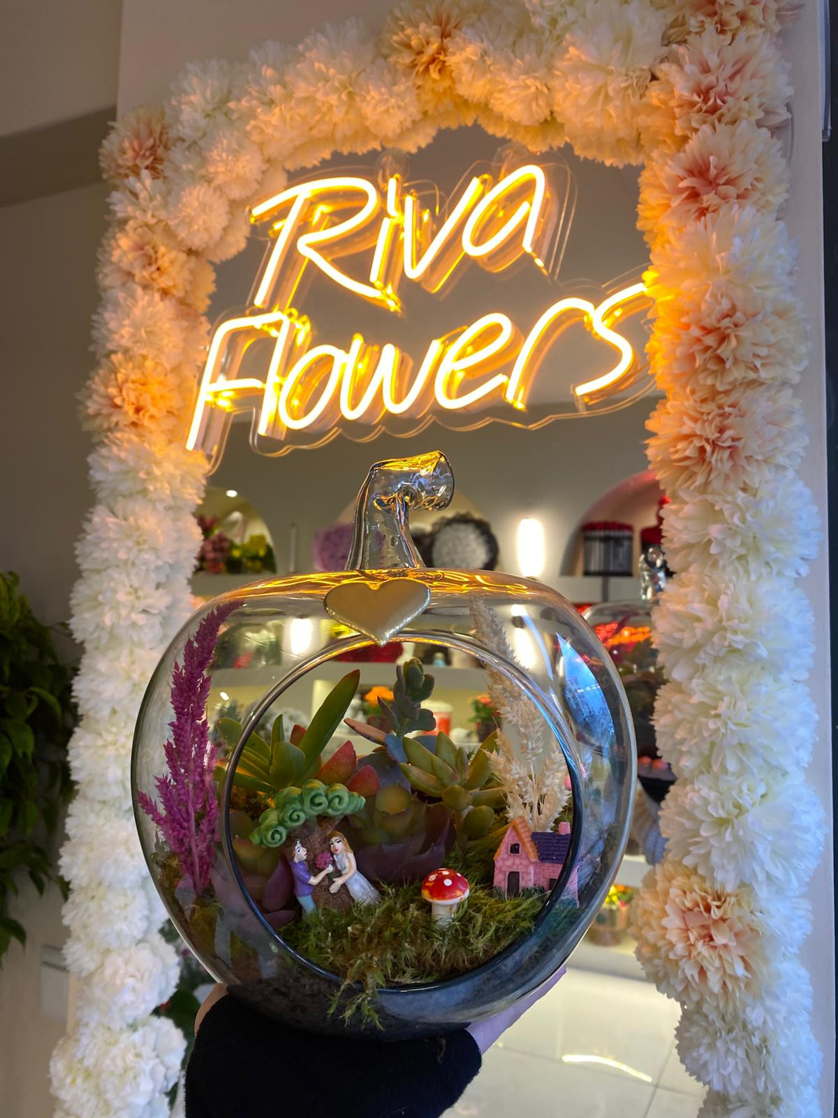 Cam Fanus Sukulent Teraryum